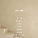 놀리 Nolly