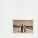 평해중학교 이미지