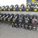 드림복싱클럽 이미지