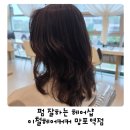 망포 미용실 추천, 펌 잘하는 곳! 이철헤어커커 망포역점 만족후기