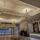 아일랜드 골프존 | 골프존카운티 화랑 라운드 후기 (Feat. 롤러코스터 코스 )