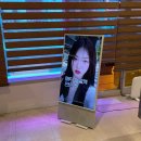 캣솔루션 | 얼굴살빼기 매직캣주사 2회차 후기