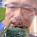 귀뚜라미 - 영도구 청학로 68-2 | 귀뚜라미
