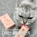 리골드 | 고양이영양제 추천, 디어랩스 울애기쌩쌩 스틱