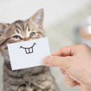 프라임시티부동산공인중개사사무소 이미지