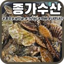 종가로 | [종가수산] '세척석화' 굴 택배 맛집 스마트스토어 내돈내산후기