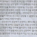보니기획