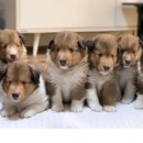 레디에이트(RADIATE) 이미지