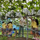 수원-1382 이미지