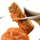 시청 소나무 이미지