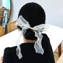 포인트헤어 이미지