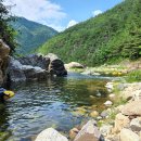 왕피리들꽃하우스 이미지