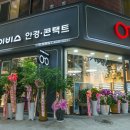 아이비스안경콘텍트 이미지