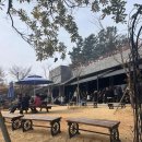 복실이 PC 이미지