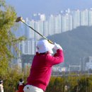 파크골프 이미지