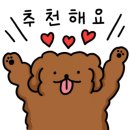 293사진관 이미지