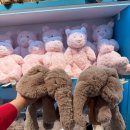 블루버니 천상 | 상하이 가볼만한곳 신천지 맛집 브런치 카페 Polux + 젤리캣