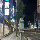 머스트비헤어 | 당리미용실 머스트비헤어에서 톤다운 성공했어요!