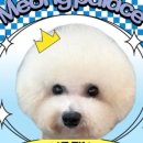 멍팰리스 이미지