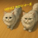 물속세상 | 노원역맛집 물속세상 조개구이 내돈내산 후기