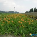 하대남강둔치 이미지