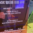 MOL 멀티룸 티스토리