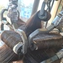 분당판교-D-2 | [판교|분당] 판교미용실 열펌 맛집 모디아스 헤어 거지존 탈출! 솔직 후기