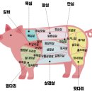 [대구맛집]정주는갈비_진짜돼지갈비!!!