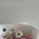 오브선