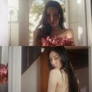 선미네 티브이데일리