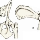 비타민동물메디컬센터 이미지