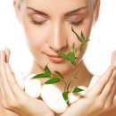 인준농장 이미지