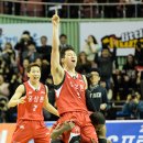 삼성인삼 이미지