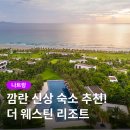 성인 태극권 | 나트랑 더 웨스틴 리조트 깜란 신상 숙소 특가 꿀팁