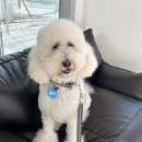 봉자빨래 이미지