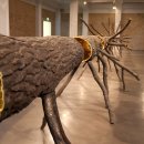 빛의 공간 이미지