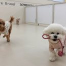 (주)바우라움 수원 캠퍼스 이미지