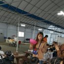 정인아트어린이집 이미지