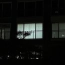 389 | 대구커튼 내돈내산 솔직후기 , 두아빠커튼 신혼집 쉬폰커튼 &amp; 블라인드