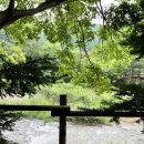 모야의숲 캠핑장 이미지