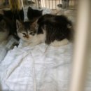 성서초교 이미지