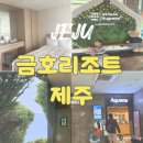 금호 | 아이랑 제주 금호리조트 이용후기 가성비 좋은 숙소 아쿠아나