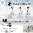 프라임 동물병원 앞 이미지