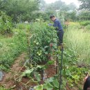 서구농장 이미지