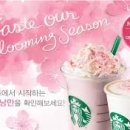 체리블라썸 이미지