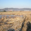 지산낚시터 이미지