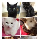 유앤동물병원 이미지