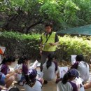 태랑초교 이미지