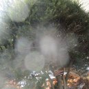 동성공원 이미지