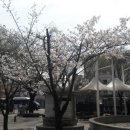 동대문베르빌 앞 이미지